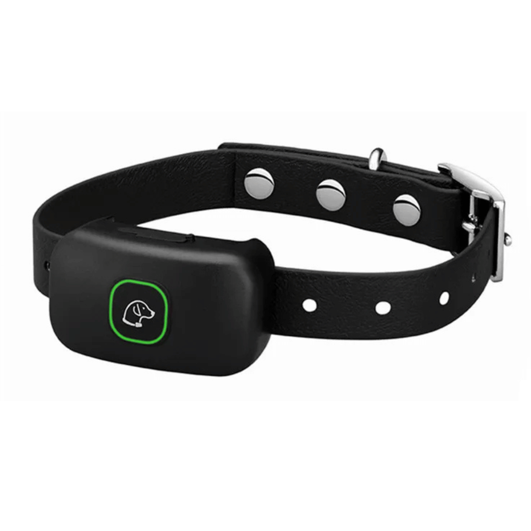 Rechargeable Dog Training Collar With Remote
