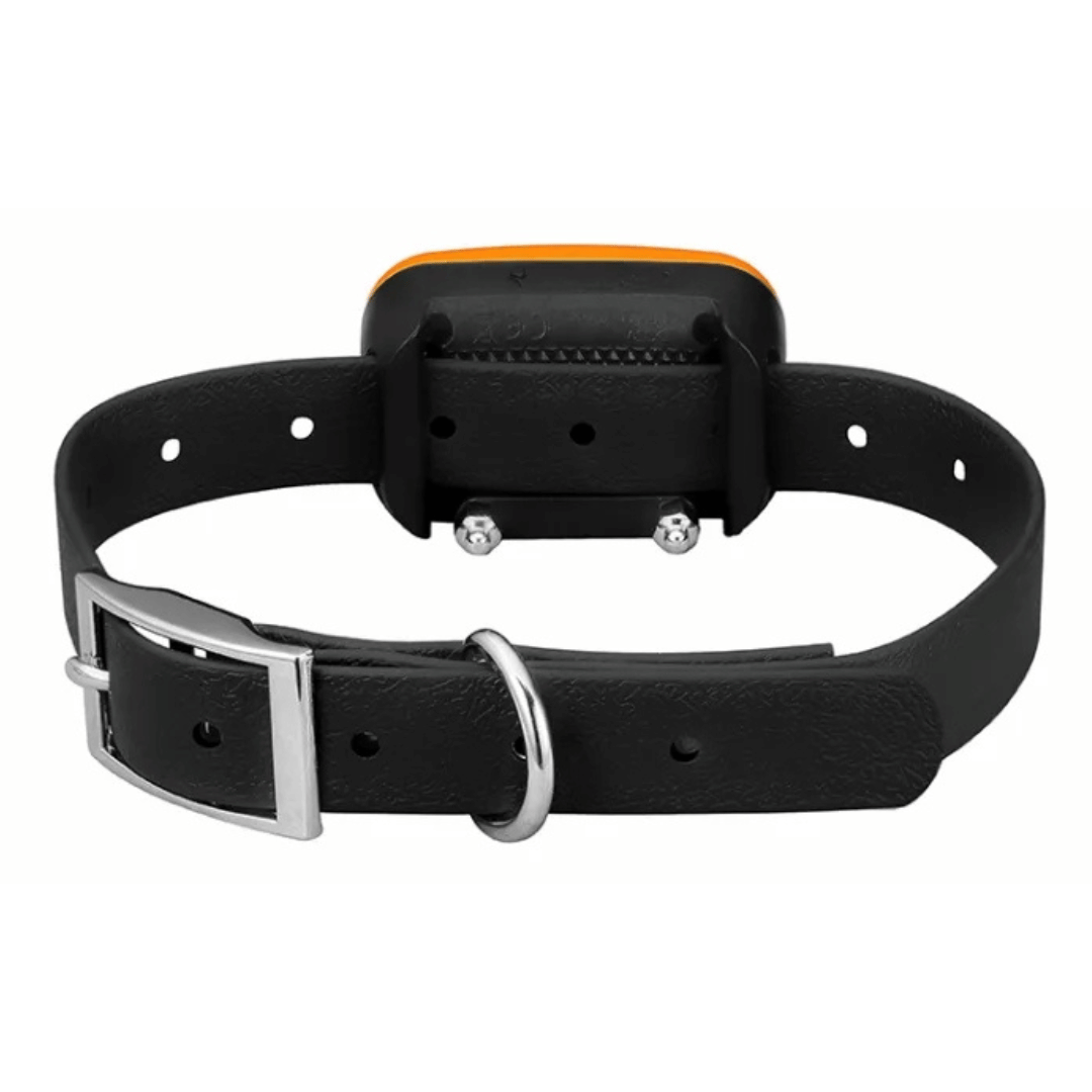 Rechargeable Dog Training Collar With Remote