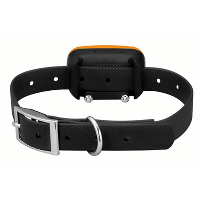 Rechargeable Dog Training Collar With Remote