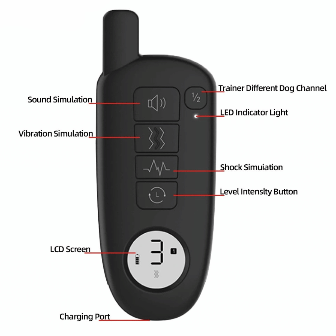 Rechargeable Dog Training Collar With Remote