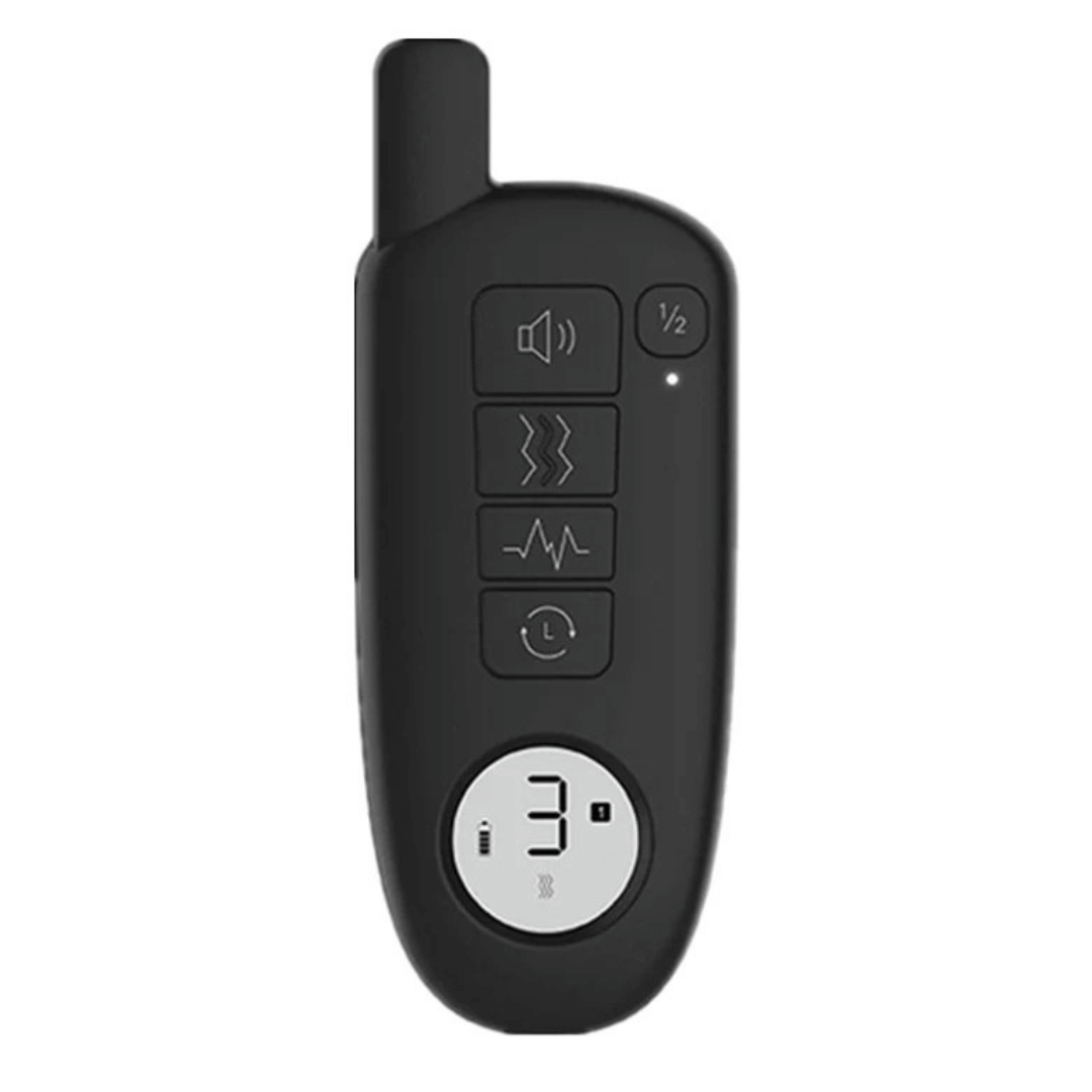 Rechargeable Dog Training Collar With Remote