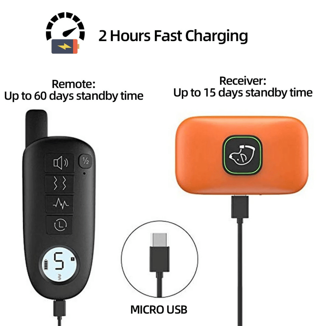 Rechargeable Dog Training Collar With Remote
