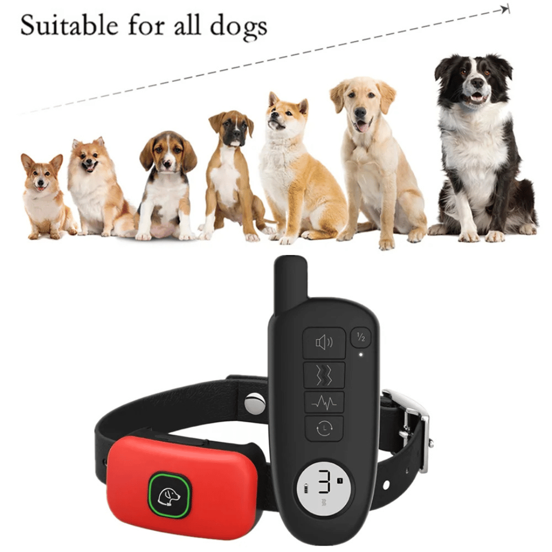Rechargeable Dog Training Collar With Remote