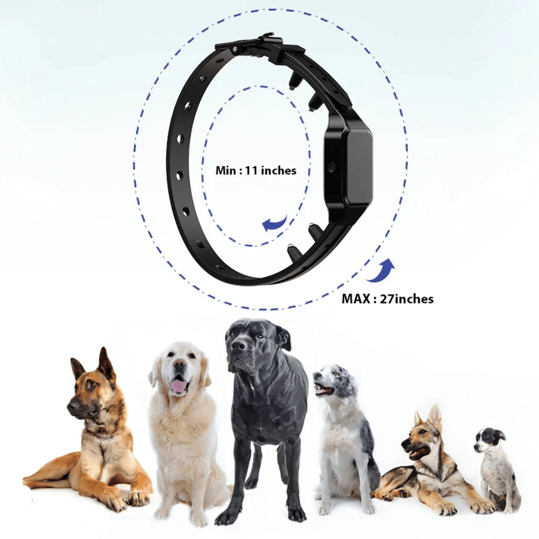 Long Range Dog Training Collar With LCD Remote