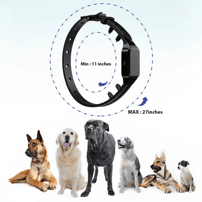 Long Range Dog Training Collar With LCD Remote