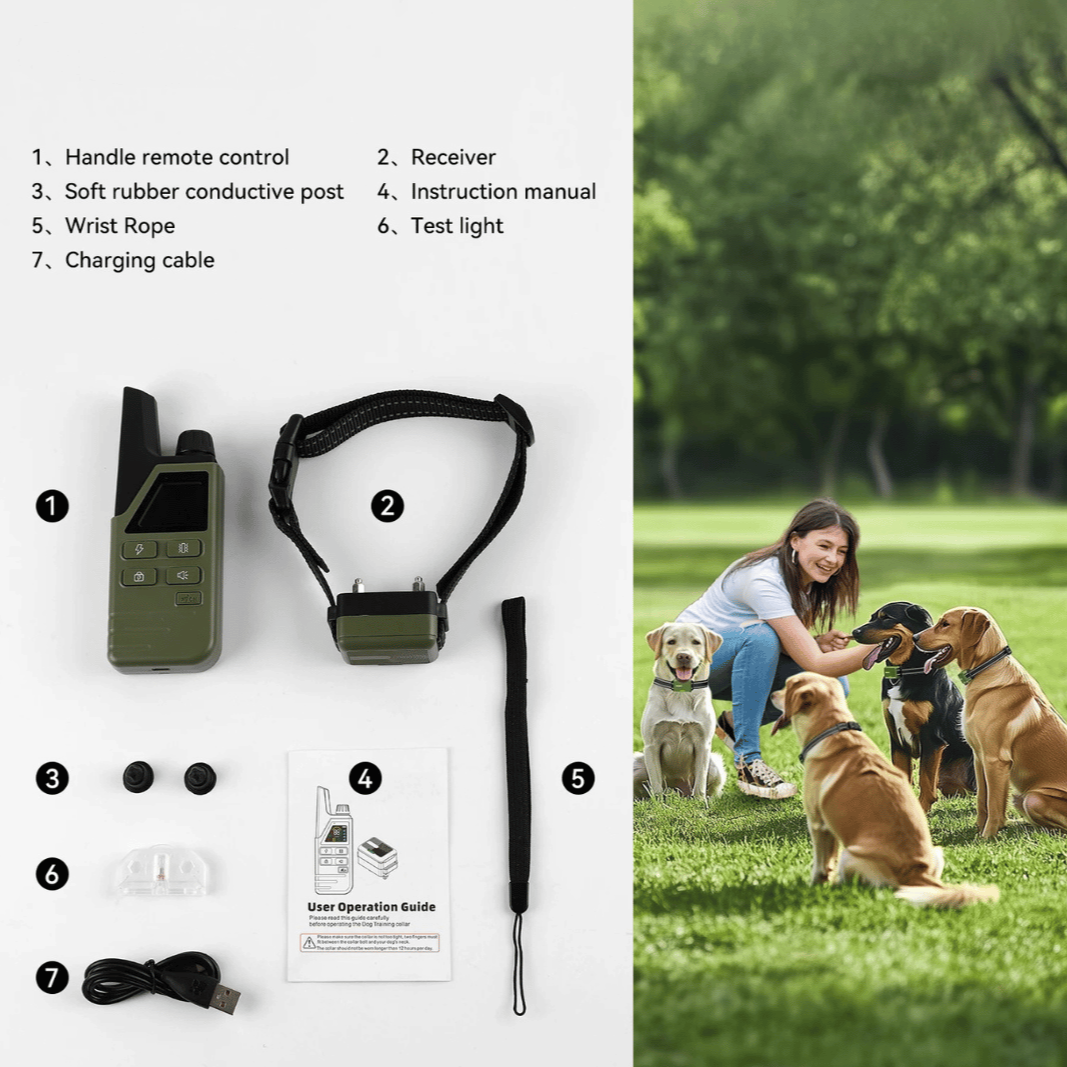 Rechargeable Dog Training Collar With Remote Control