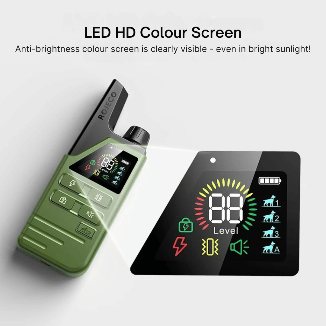 Rechargeable Dog Training Collar With Remote Control