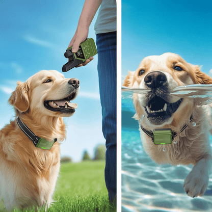 Rechargeable Dog Training Collar With Remote Control