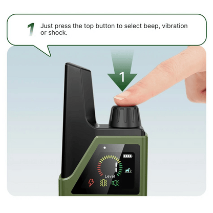 Rechargeable Dog Training Collar With Remote Control