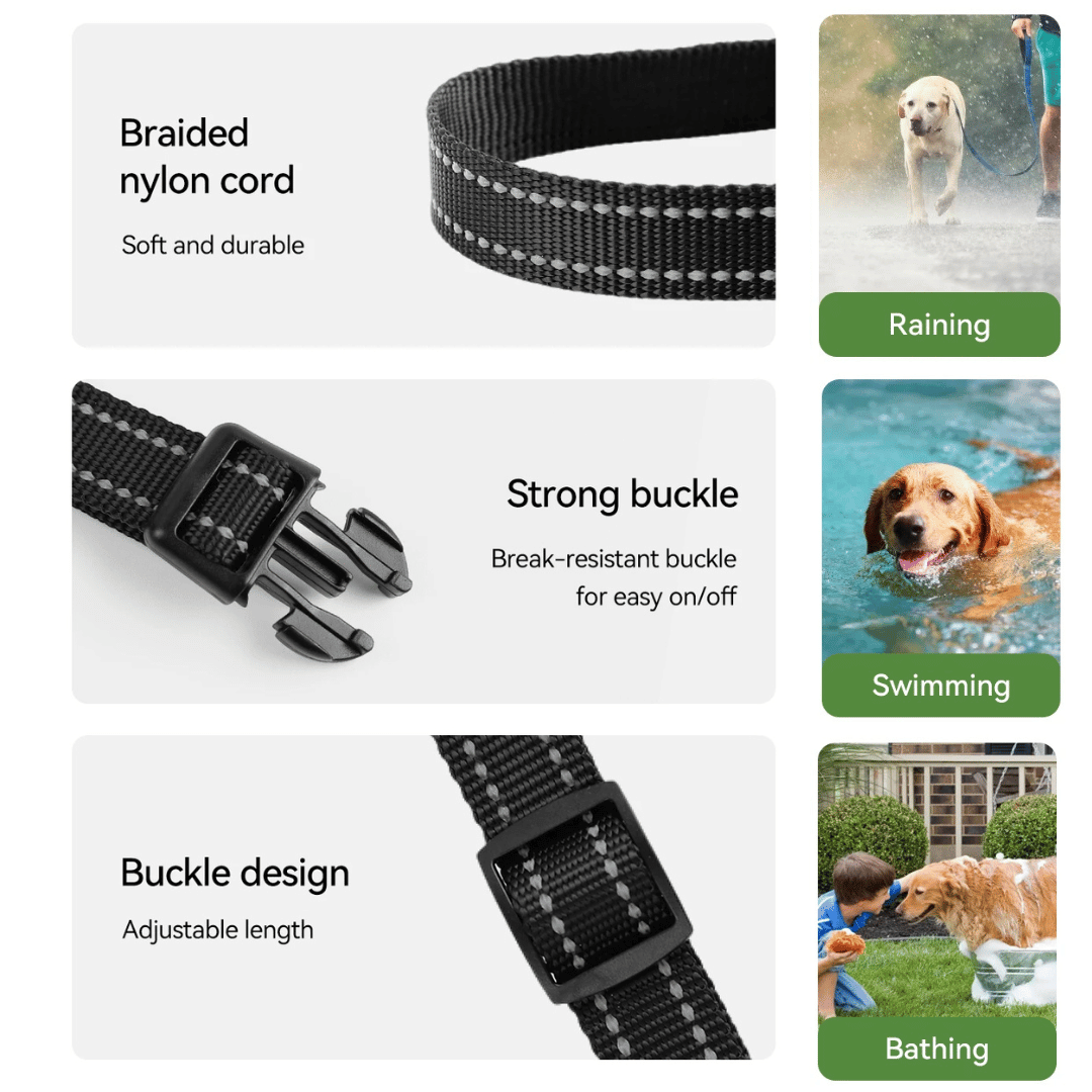 Rechargeable Dog Training Collar With Remote Control