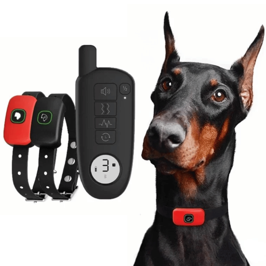 300m Dog Training Collar with Remote | Waterproof Smart Bark Stopper 1