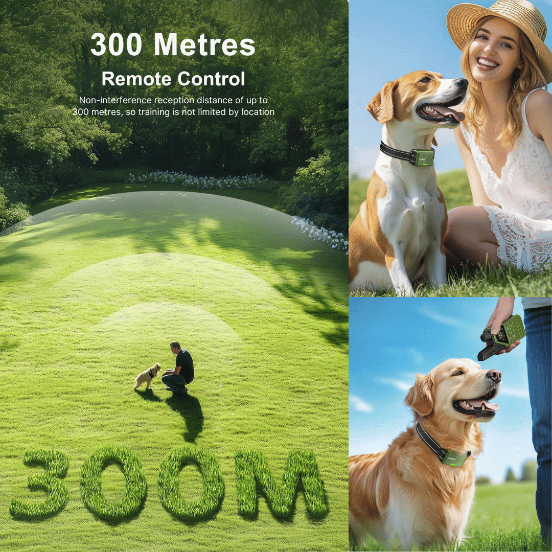 300m Smart Dog Training Collar & Remote Control | Waterproof & Rechargeable 3