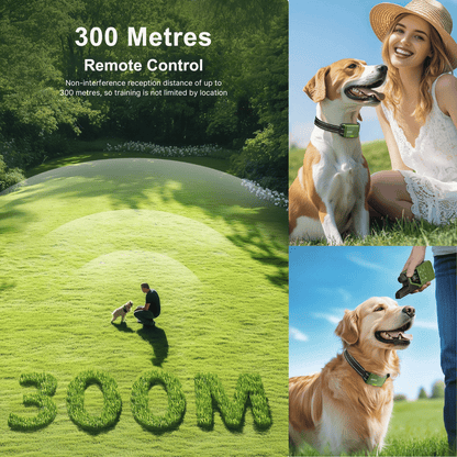 300m Smart Dog Training Collar & Remote Control | Waterproof & Rechargeable 3
