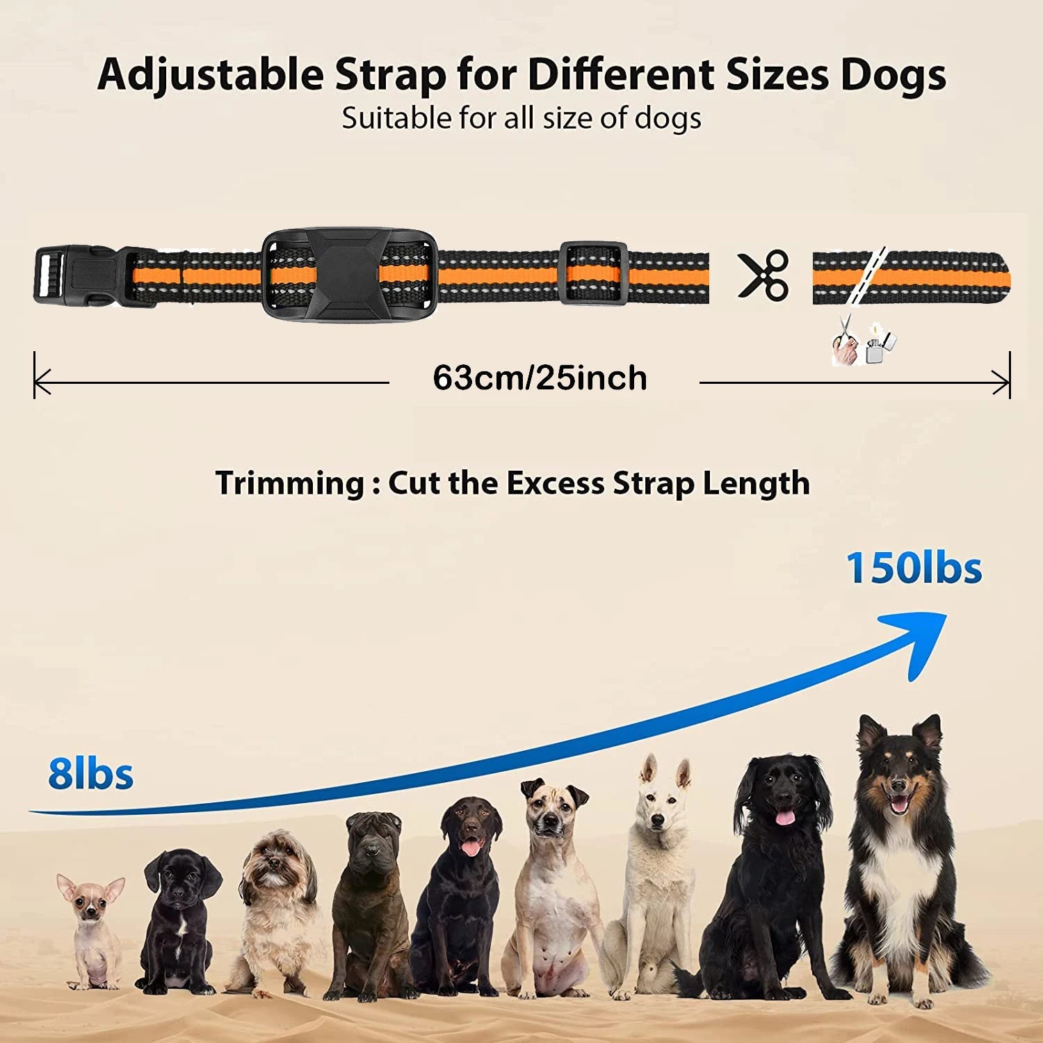 350m Dog Training Collar with Remote Control | Long-Lasting USB Rechargeable 5