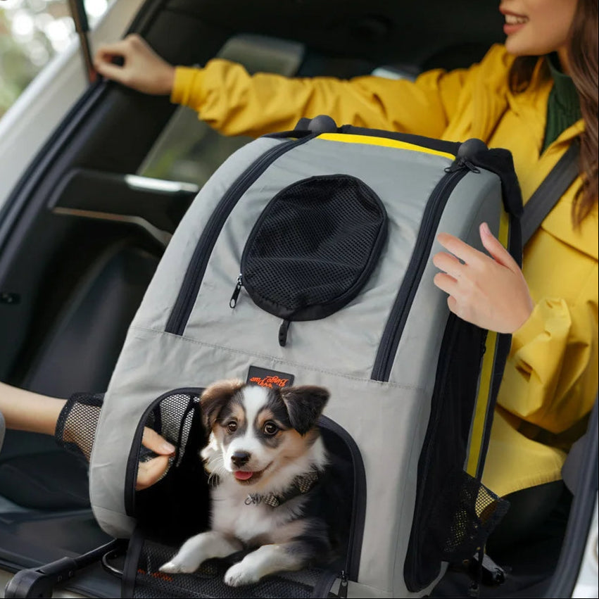 Pet Stroller Carrier Small Dogs