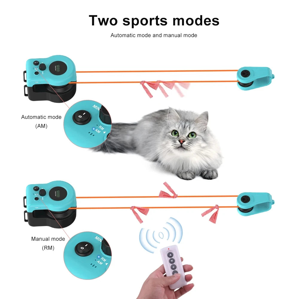 Cat Laser Pointer Red Dot Toy