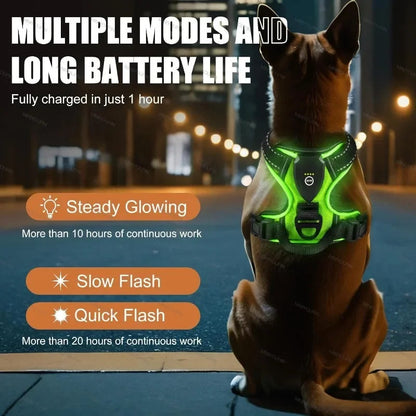 Visible Led Dog Vest Nighttime Walking Safety