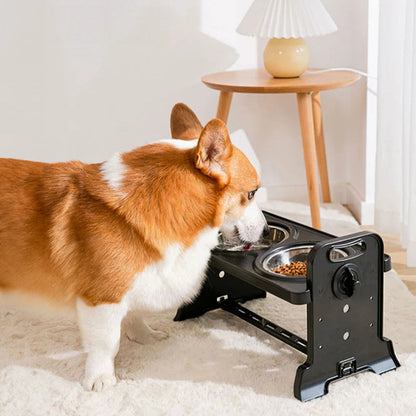 Stainless Steel Elevated Dog Feeder With Two Bowls