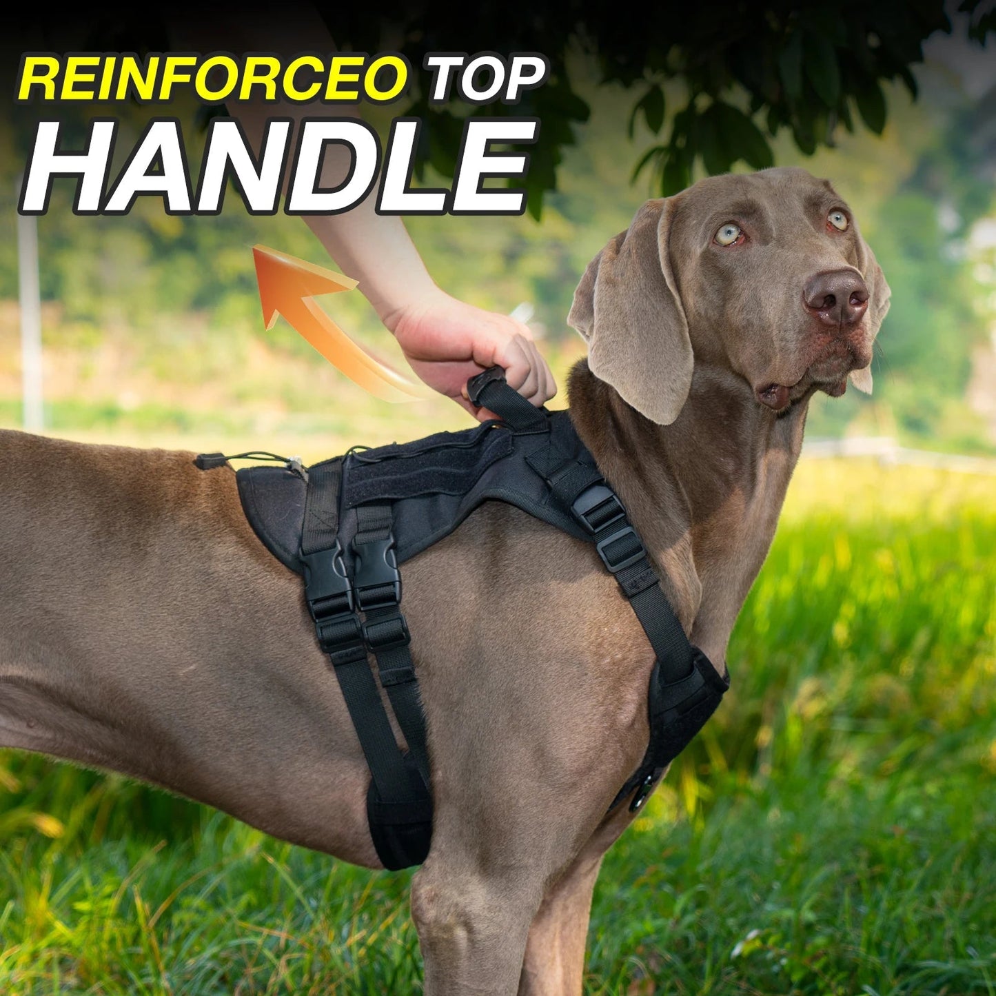 Large Breed Dog Vest With Handle Heavy Duty