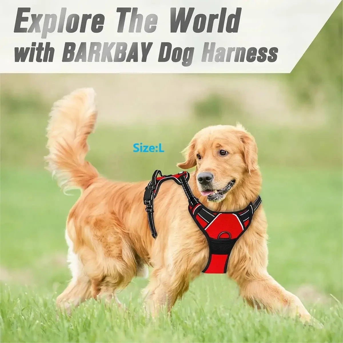 Puppy Walking Harness Reflective Safety Straps