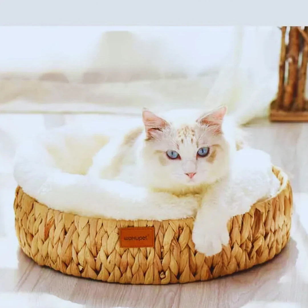 WillowDream Wicker Cat Bed Natural Fiber