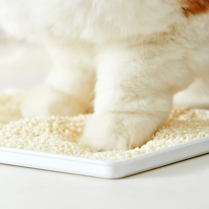 Natural Cat Litter Odor Control Eco Friendly