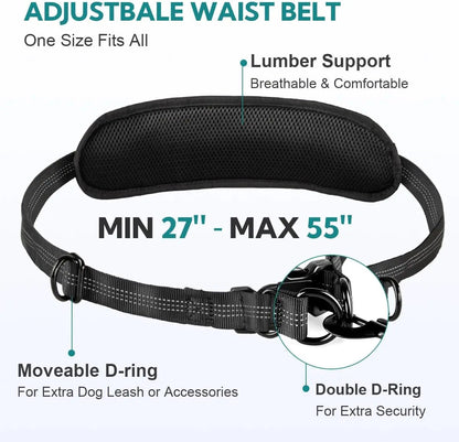 Adjustable Bungee Dog Leash with Pocket