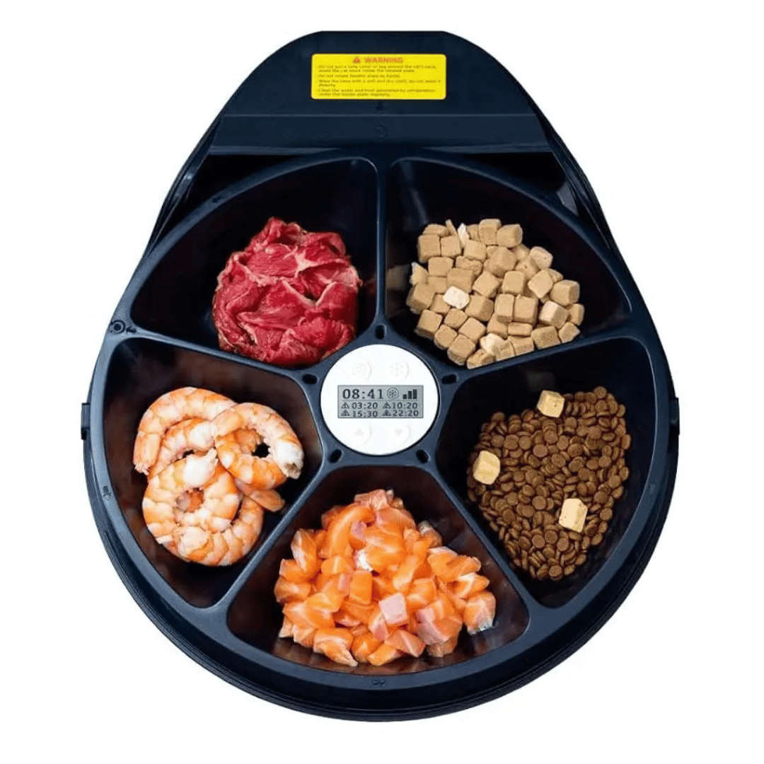Automated Pet Food Dispenser With Cooler And Timer