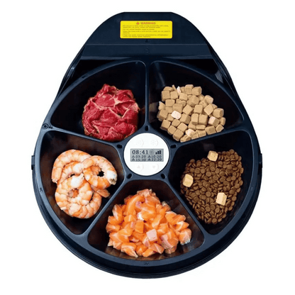 Automated Pet Food Dispenser With Cooler And Timer