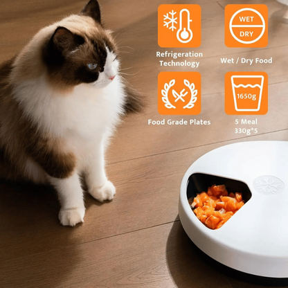 Automated Pet Food Dispenser With Cooler And Timer