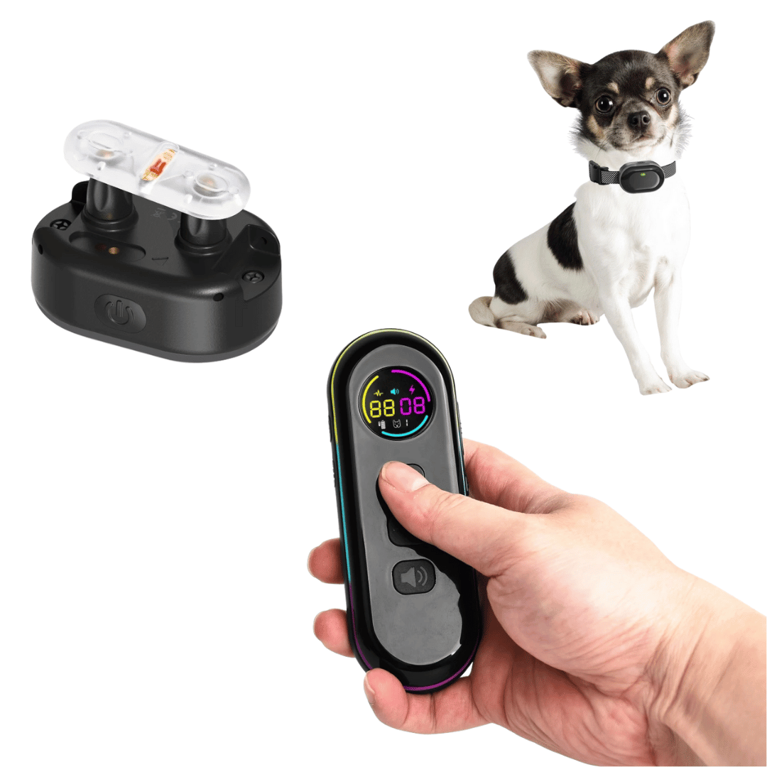 Remote Dog Training Collar Long Range All Sizes