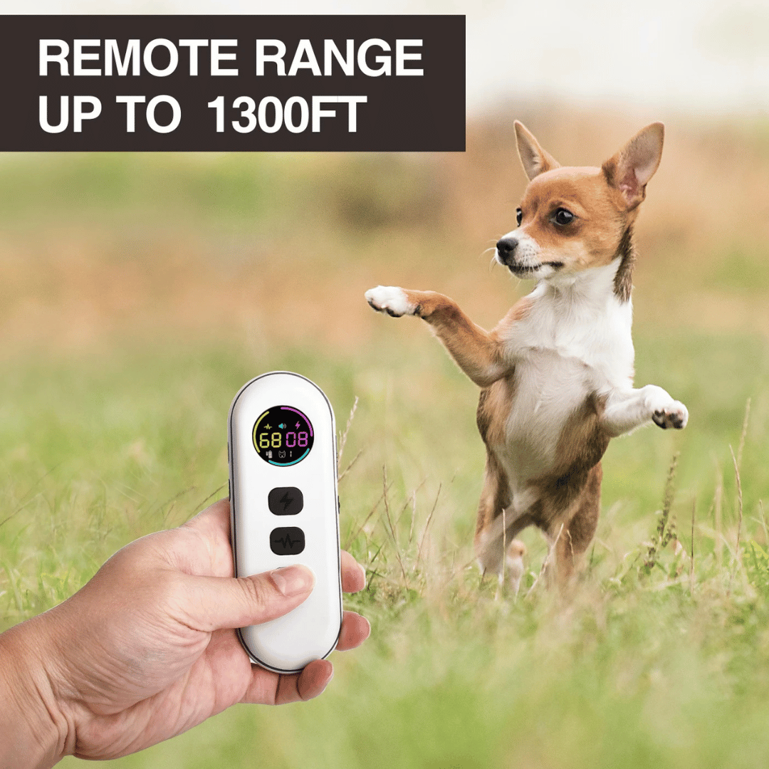 Remote Dog Training Collar Long Range All Sizes