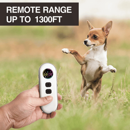 Remote Dog Training Collar Long Range All Sizes
