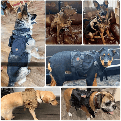 Tough Dog Training Vest Set with Leash and Pouch