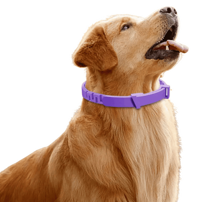 Dog Anxiety Collar Natural Pheromones