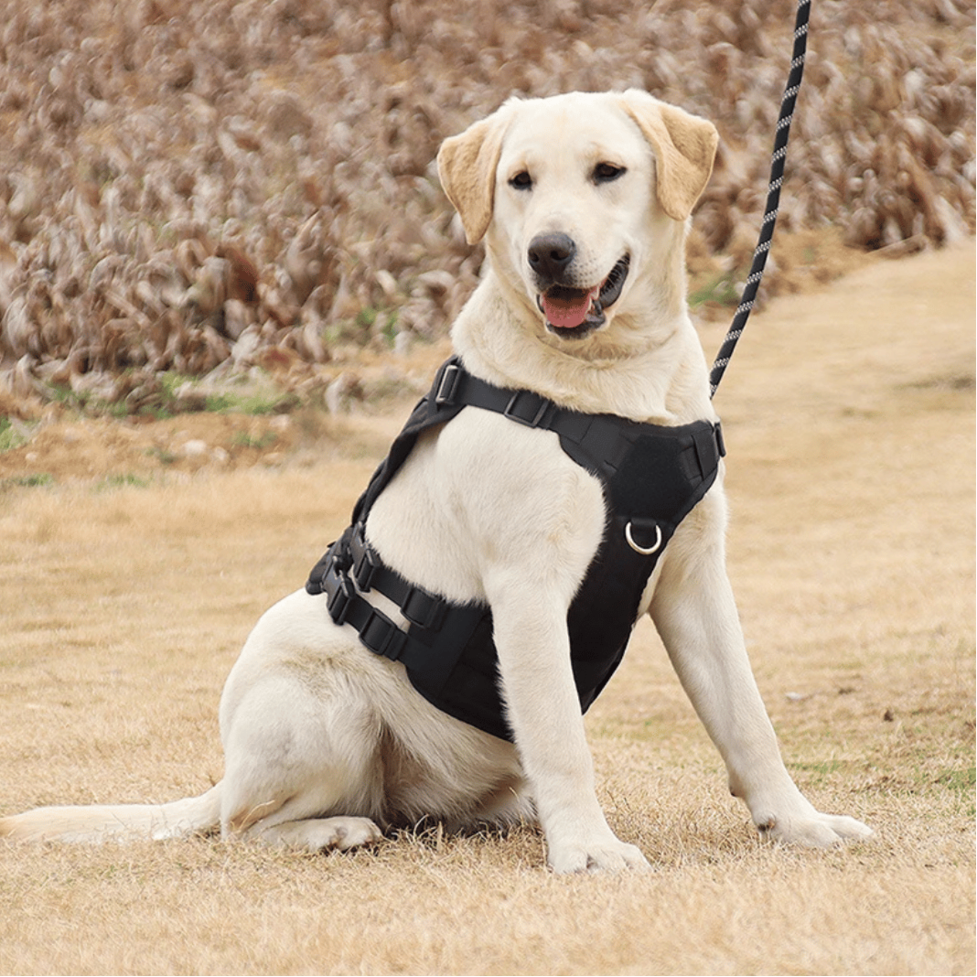 Large Breed Dog Vest With Handle Durable Outdoor