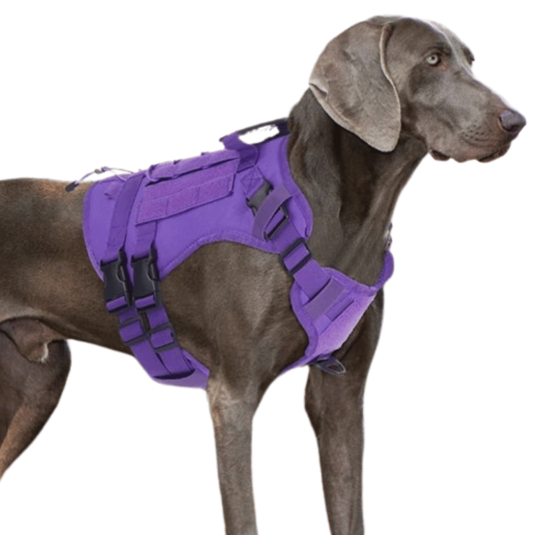 Large Breed Dog Vest With Handle Heavy Duty