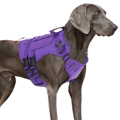Large Breed Dog Vest With Handle Heavy Duty