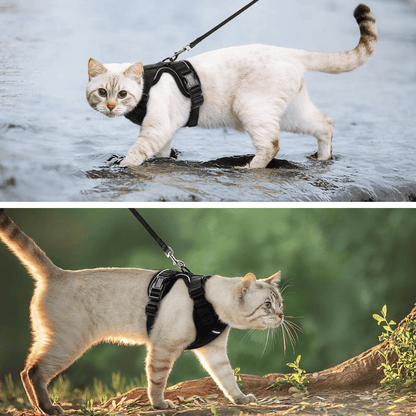 Cat Harness Leash Set Breathable Comfortable