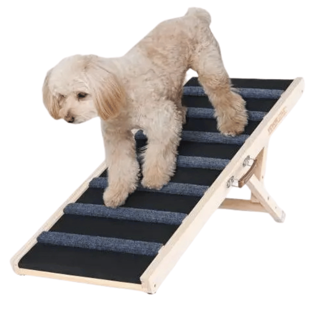 Portable Pet Ramp for Dogs - Pupporia