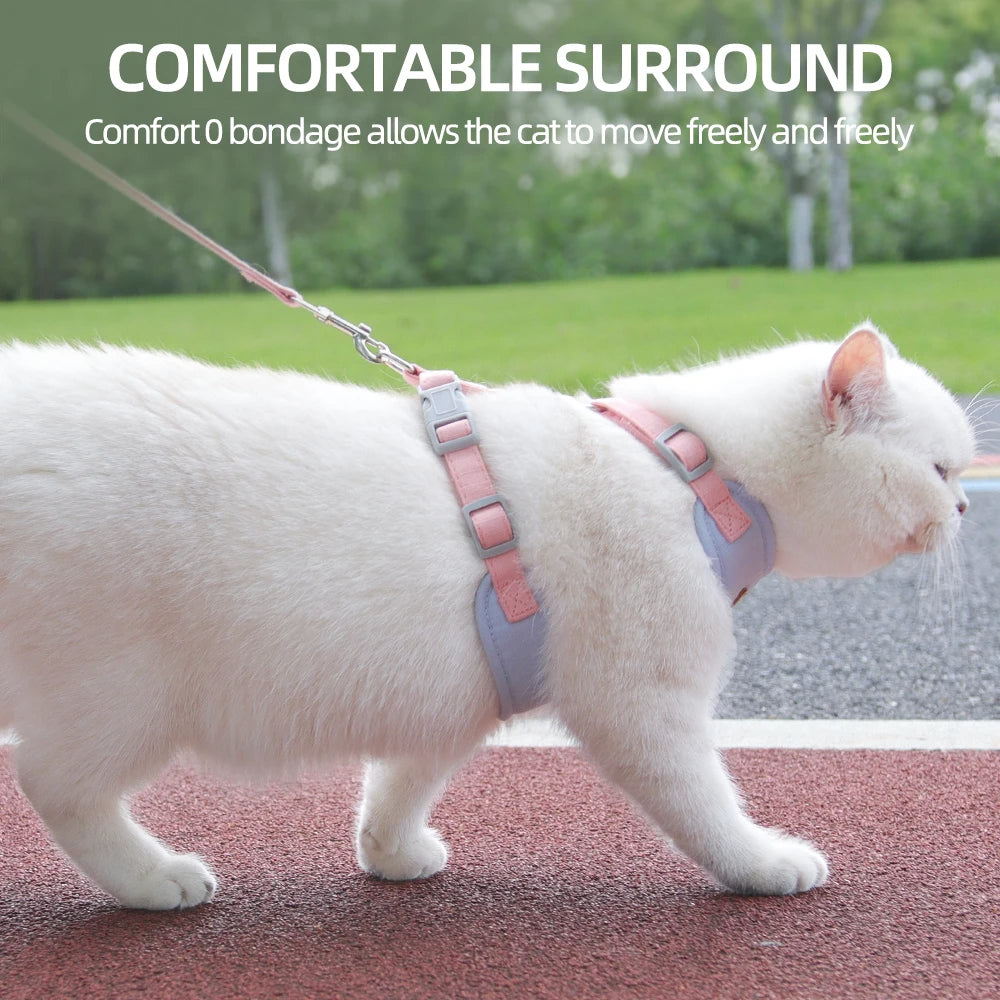 Purrfect Cat Harness And Leash Set