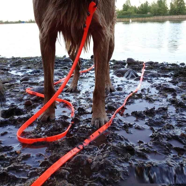 Water Resistant PVC Long Dog Leash