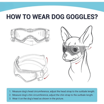 Dog Sunglasses Small Breed Eye Protection
