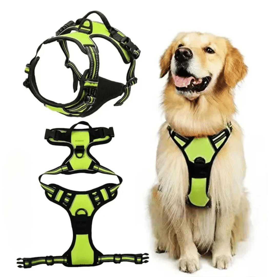 Puppy Walking Harness Reflective Safety Straps