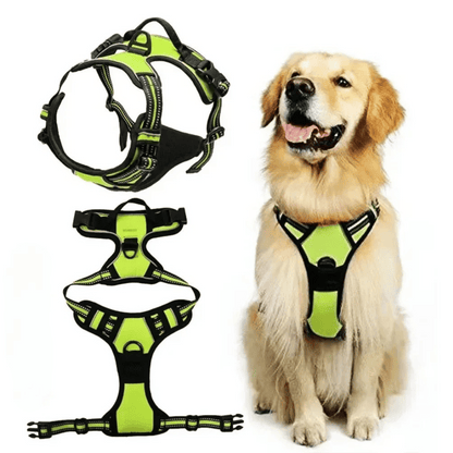 Puppy Walking Harness Reflective Safety Straps