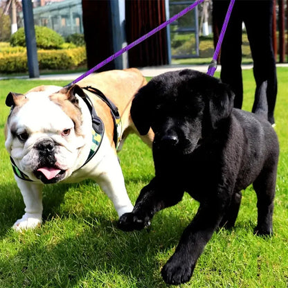 Extra Long Pet Leash Extender Tangle Swivel Clip