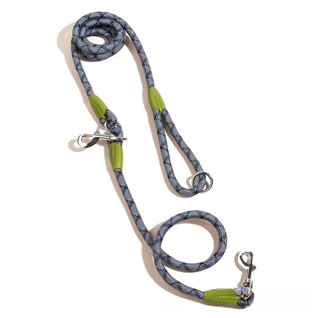Durable Padded Dog Leash For Large Breeds