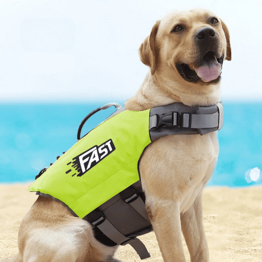 Dog Life Jacket Swimming Vest - Pupporia