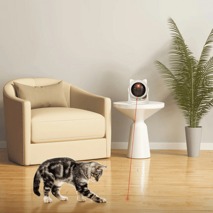 Interactive Laser Pet Toy