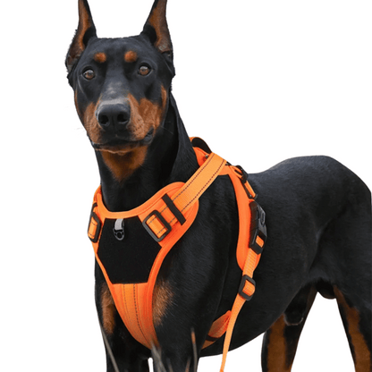 Puppy Training Harness Reflective Padded Vest - Pupporia